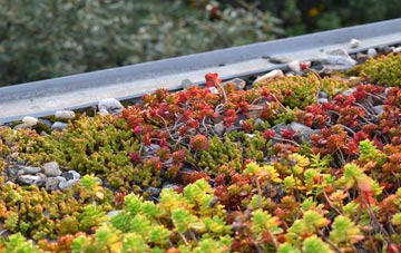 the cost of Whickham green roof installation