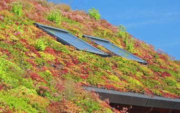 Whickham living roof systems